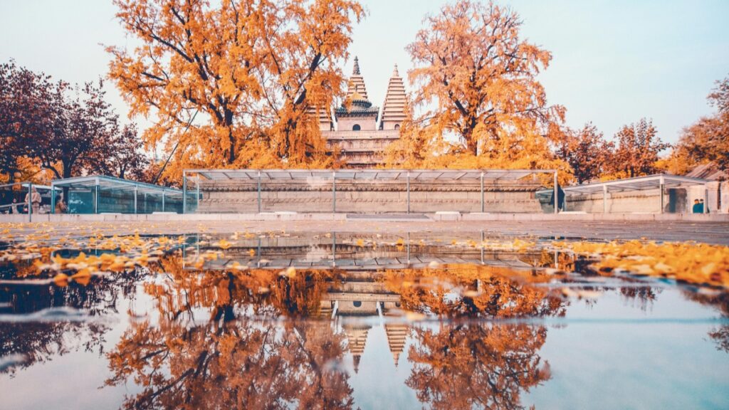 កម្ពុជាសួរស្តីបុរស Twitter អាចរួមចំណែកជាមួយអ្នកផ្សព្វផ្សាយពីប៉ាគីស្ថានក្នុងឆ្នាំ ២០២៥