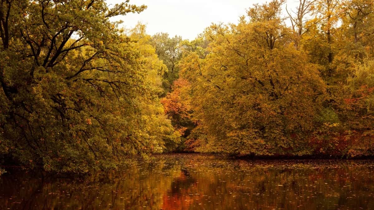តារាងតម្លៃផ្សព្វផ្សាយ Instagram នៅប្រទេសស្ប៉ាញឆ្នាំ ២០២៥ សម្រាប់អ្នកទីផ្សារកម្ពុជា