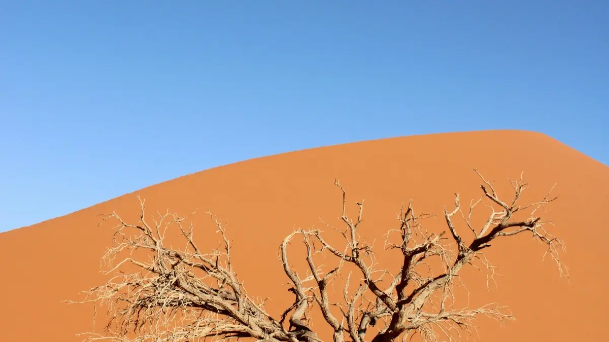 អ្នកផ្សព្វផ្សាយកម្ពុជា: រក Reddit creators ស្វីស សម្រាប់លើកចេញហ្គេម