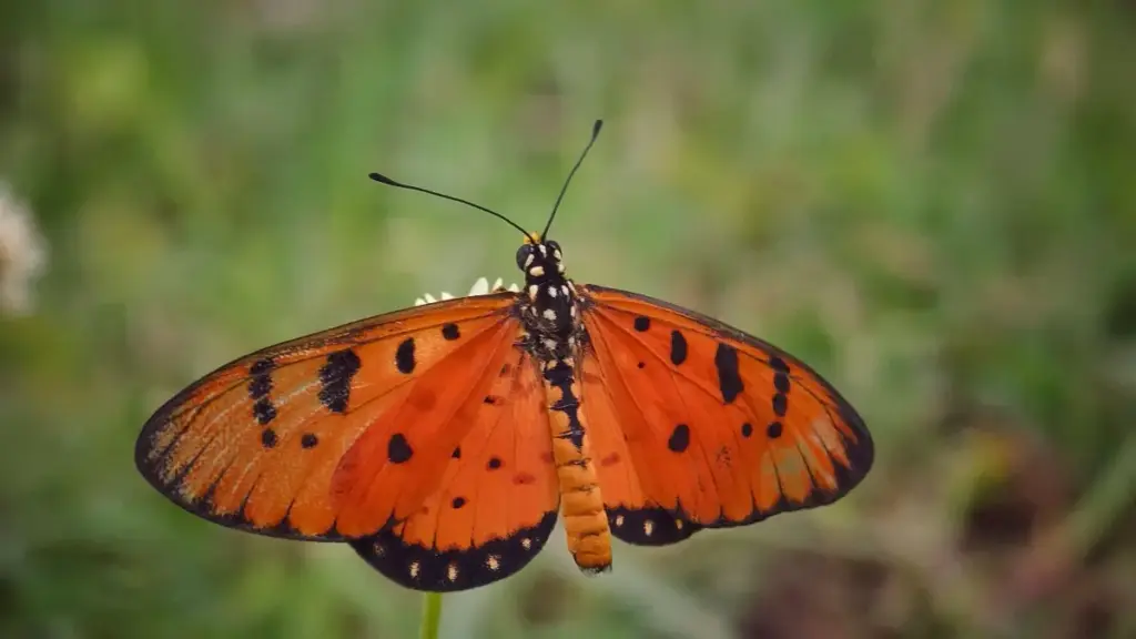 គន្លឹះ​ពី​របៀប​ស្វែងរក Creator អាយស្លែនលើ Bilibili ដើម្បីទាក់ទាញ Subculture និង Niche Audience សម្រាប់ Advertiser ខ្មែរ។ វិភាគពេលនេះ និងដាក់ផែនការ​អនុវត្ត​យ៉ាងជាក់លាក់។