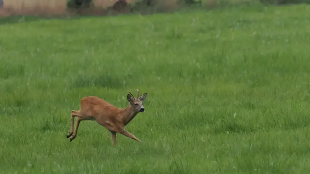 សេចក្តីណែនាំជាក់ច្បាស់សម្រាប់អ្នកយកផលិតផលនៅកម្ពុជា — របៀបស្វែងរក និងធ្វើការជាមួយ TikTok creators នៅឥណ្ឌា ដើម្បីទទួលបាន Review របស់ពួកគេដែលសុទ្ធ និងមាន conversion។