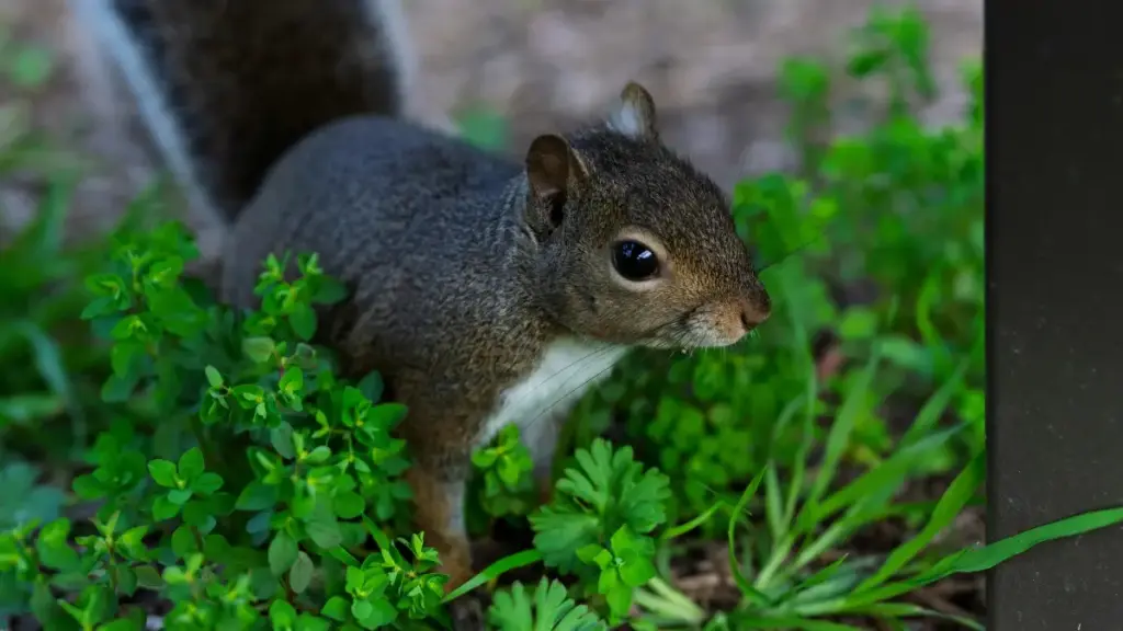 សេចក្តីណែនាំអនុវត្តសម្រាប់អ្នកបង្កើតខ្មែរ ដើម្បីទាក់ទង និងបានចូលរួមជាក់ស្ដែងក្នុងប្រកាសប្រូម៉ូសិនពី Jordan brands លើ YouTube។