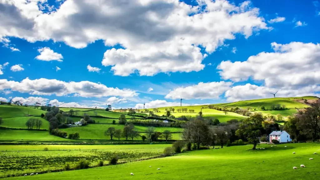 គន្លឹះជាក់ស្តែងសម្រាប់អ្នកបង្កើតខ្មែរ ថ្ងៃនេះយើងរៀបចំចំឡើយអំពីរបៀបរកម៉ាកម៉ុងហ្គោលលើ Xiaohongshu និងចុះកិច្ចសកម្មភាពដែលមានប្រាក់ឧបត្ថម្ភ។