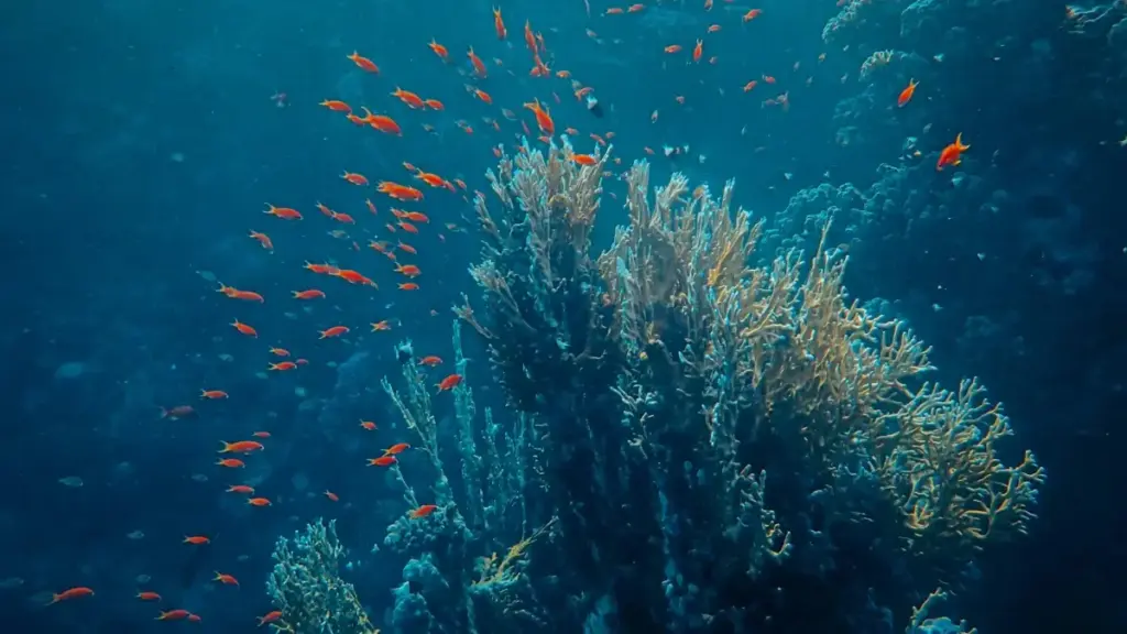 មេរៀនខ្លីសម្រាប់អ្នកផ្សព្វផ្សាយកម្ពុជា — របៀបស្គាល់ និងដាំស្មាធ YouTube creators រុម៉ានី ដើម្បីបើកចរាចរណ៍ទៅកាន់ fitness apps របស់អ្នក ដោយប្រើវិធី localised និង data-driven។