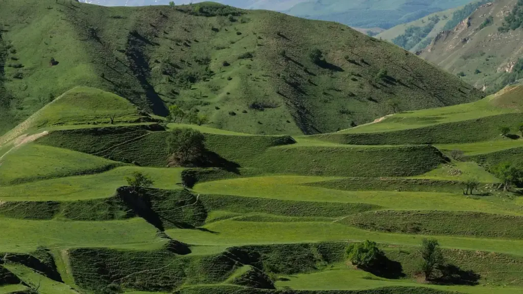 ទិដ្ឋភាពជាក់ស្តែងសម្រាប់អ្នកអ الإعلانនៅកម្ពុជា៖ វិធីស្វែងរក និងធ្វើការសហការជាមួយអ្នកបង្កើត Roposo ពីវេណេស៊ុយអេឡាសម្រាប់ dance challenges, ជាមួយគន្លឹះប្រកបដោយបច្ចេកទេស និងការវិភាគនិន្នាការ។