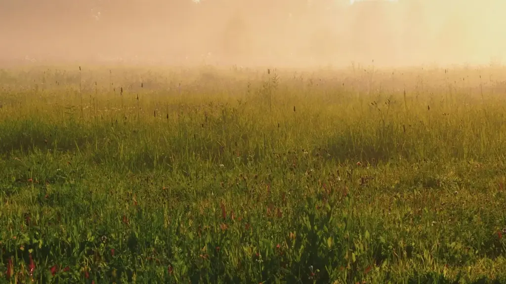 គន្លឹះពិសេសសម្រាប់អ្នកបង្កើតខេមបូឌា — របៀបឈានដល់ម៉ាក Israel លើ SoundCloud ដើម្បីចែកកូដបញ្ចុះតម្លៃពេលកំណត់ និងធ្វើសហការជោគជ័យ។