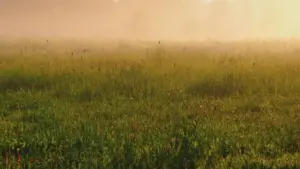 គន្លឹះពិសេសសម្រាប់អ្នកបង្កើតខេមបូឌា — របៀបឈានដល់ម៉ាក Israel លើ SoundCloud ដើម្បីចែកកូដបញ្ចុះតម្លៃពេលកំណត់ និងធ្វើសហការជោគជ័យ។