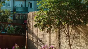 គន្លឹះសម្រាប់អ្នកប្រកាសពាណិជ្ជកម្មនៅកម្ពុជា៖ រក និងសហការជាមួយ Roposo creators តូ្នីស ដើម្បីបង្ហាញម៉ូដត្រជាក់ប្រចាំរដូវ, ជាមួយយុទ្ធសាស្ត្រទៅអ្នកទស្សនា និងឧទាហរណ៍ពីប្រាប់ពីបទពិសោធន៍អនឡាញថ្មីៗ។