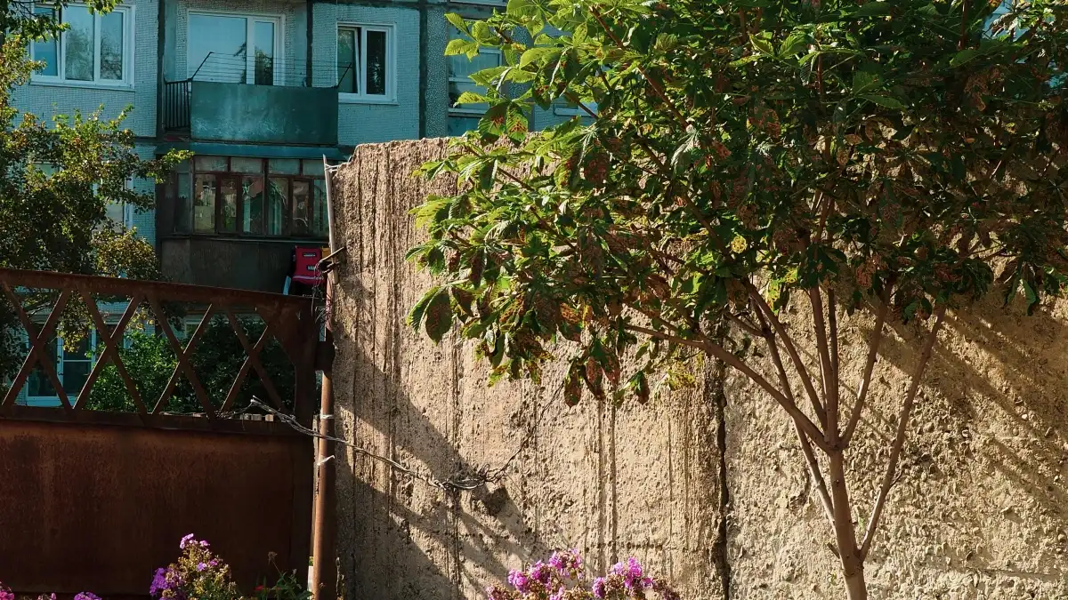 រក\u200bអ្នកផ្សព្វផ្សាយ Roposo តូ្នីស រកដូចម្តេច?
