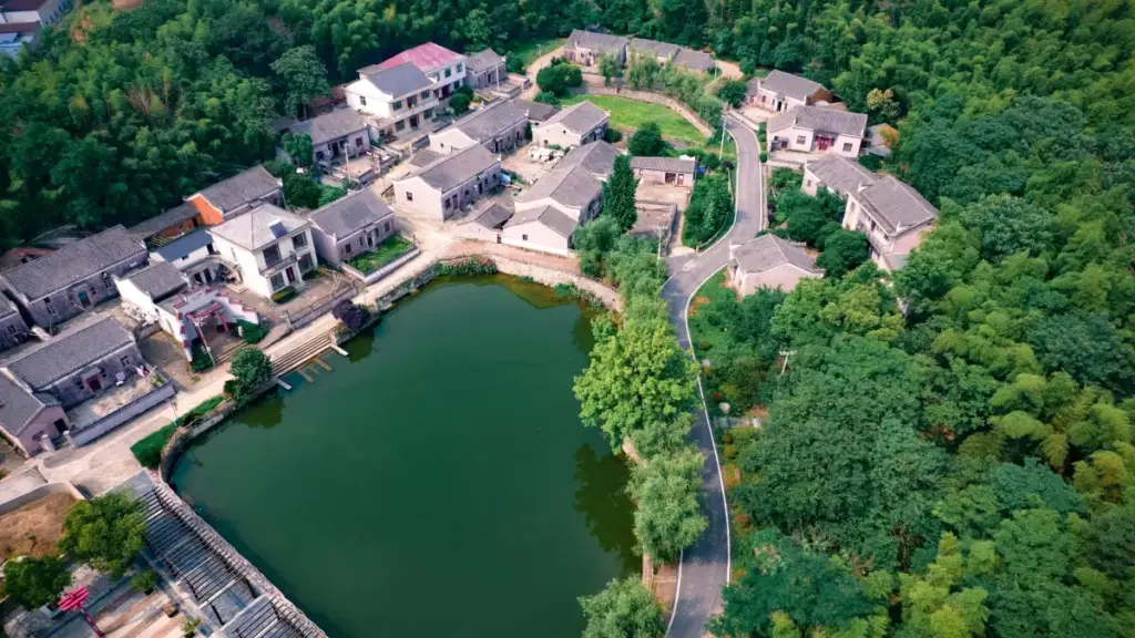 យល់ដឹងពីវិធី និងឧបករណ៍ក្នុងការរកអ្នកបង្កើត Roposo ក្នុង Kuwait ដើម្បីផលិតមាតិកាវីដេអូ viral សម្រាប់ប្រកួតផ្សព្វផ្សាយនៅកម្ពុជា។