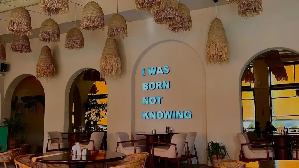 គន្លឹះសម្រាប់អ្នកផ្សព្វផ្សាយនៅកម្ពុជា: រក និងសហការ​ជាមួយ OnlyFans creators Tunisia ដើម្បីបង្កើនដោនឡូដ mobile app បែបឆ្លាតវៃ និងមានសុវត្ថិភាព។