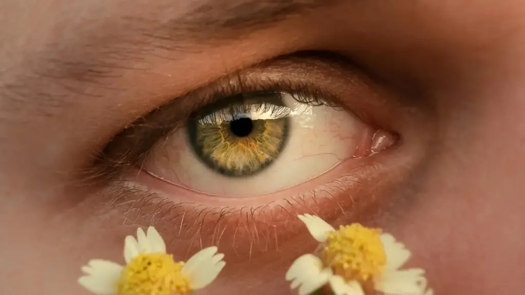 គម្រោងជាមួយ Reddit creators ពី Latvia៖ វិធីស្វែងរក, វិភាគសង្ស័យ, និងផែនការដាក់សាកល្បង micro-influencer សម្រាប់អ្នកប្រកាសនៅកម្ពុជា។