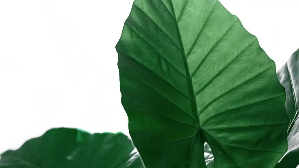 ជំនួយច្បាស់ៗសម្រាប់អ្នកបង្កើតខ្មែរ៖ ស្តាប់ចម្លើយនៅលើវិធីទាក់ទងម៉ាកម៉្យានម៉ា​នៅលើ Chingari ដើម្បីសុំពិនិត្យ និងពង្រីកចំណូលពីវេទិកាសិក្សា។ មាន tácticas ទំនើប, ឧទាហរណ៍ពិត, និងឡើងវិញនៃទំនាក់ទំនង.