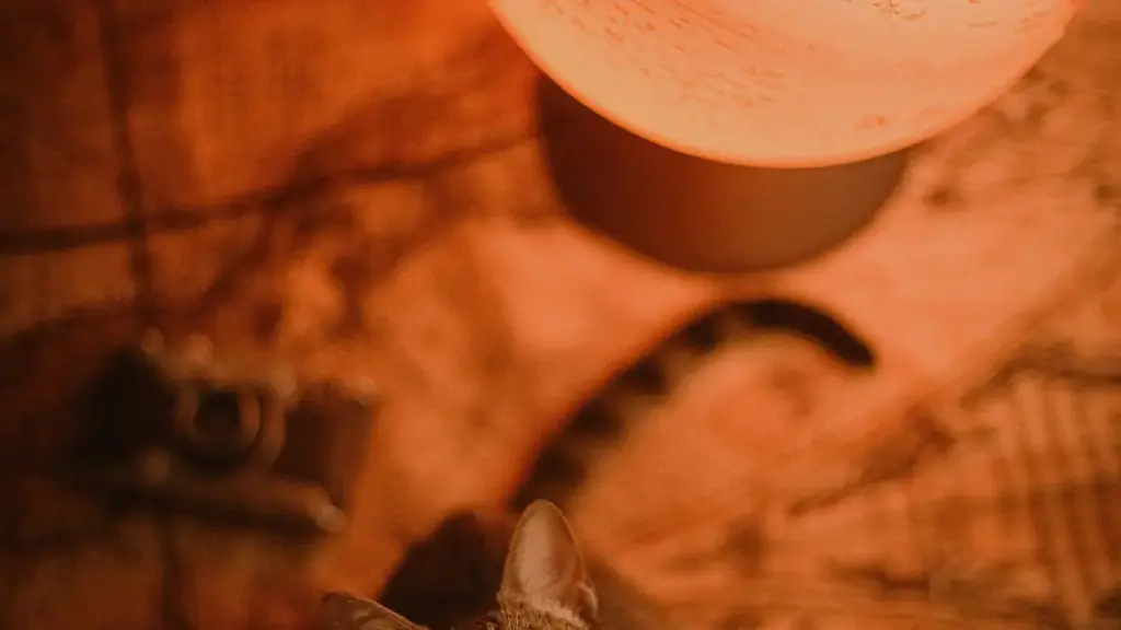 សេចក្តីណែនាំ​បុគ្គលិក​សម្រាប់​អ្នក​បង្កើត​ខ្មែរ៖ របៀប​ទាក់ទង​ម៉ាក OMAN លើ ShareChat ដើម្បីផ្សព្វផ្សាយអចម្លងអាហារូបករណ៍ និងទHabit សុខភាពដល់ភ្ញៀវទស្សនា។