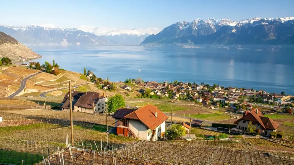 ណែនាំ​ជាក់លាក់​សម្រាប់​អ្នកផ្សព្វផ្សាយ​នៅកម្ពុជា៖ រក និងភ្ជាប់ជាមួយ Iran Bilibili creators ដើម្បីបង្កើត unboxing វីរ៉ាល់។