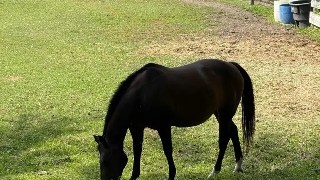 មធ្យោបាយបង្វឹកដើម្បីស្វែងរក និងចាត់តារាង Etsy creators ពីអ៊ីតាលី ដើម្បីពង្រឹងការផ្សព្វផ្សាយសំណុំសំលៀកបំពាក់ថ្មី សម្រាប់អ្នកផ្សព្វផ្សាយនៅកម្ពុជា។