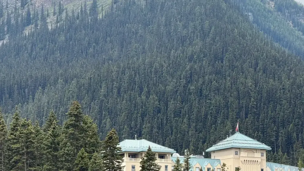 មេរៀនដល់អ្នកផ្សព្វផ្សាយនៅកម្ពុជា​ចែករំលែកវិធីសាស្ត្រ​ និងហានិភ័យពាក់ព័ន្ធក្នុងការស្វែងរក OnlyFans creators សម្រាប់ micro-influencer trials, ជាមួយនូវ ដំណោះស្រាយ​ផ្លូវការ និងធ្វើដូចម្តេចឲ្យមានភាពសុវត្ថិភាព។