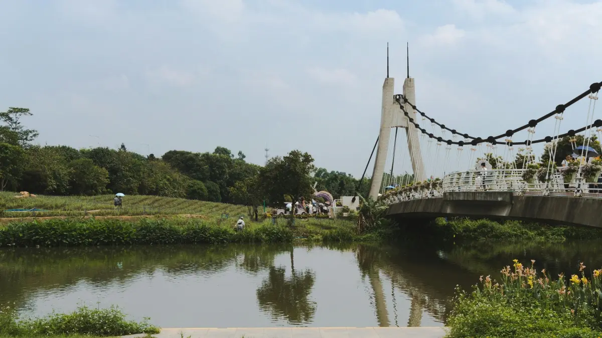 ម៉ាអ្នកចែកចាយ: រកអ្នកបង្កើត vkontakte អ៊ួរក្វាយាជាមួយ Product Seeding