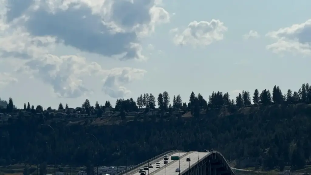 គន្លឹះពាក់ព័ន្ធនិងយុទ្ធសាស្ត្រស្វែងរក Creator លើ Shopee ລາວ ដើម្បីចាប់ផ្តើម្ផ្សព្វផ្សាយបទចម្រៀងថ្មី ដោយយកចំណេះដឹងពី CreatorWeek និងសកម្មភាពឥណ្ឌួង influencer សកល។