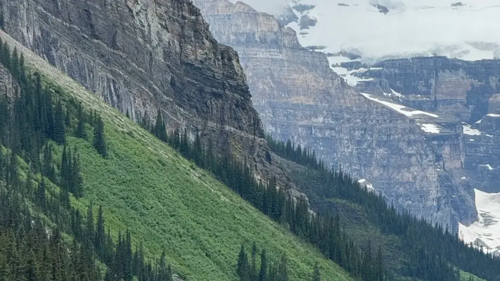 កុងតាក់កាន់កាប់ម៉ាកប្រេស៊ីលលើ Line ដើម្បីធ្វើ live demo: គន្លឹះចេះបាតុភូត, ទៅកាន់ right contact, និងដាក់ presentation រួចរាល់សម្រាប់ជោគជ័យ។