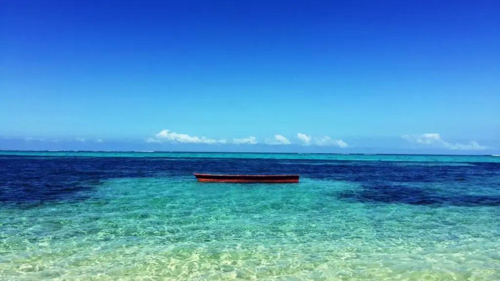 សេចក្តីណែនាំជ្រៅសម្រាប់អ្នកបង្កើតខ្មែរ — តើធ្វើដូចម្តេចដើម្បីចាប់សម្ព័ន្ធ​ជាមួយ​ប្រេន Paraguay លើ Instagram ដើម្បីតំណាងឲ្យម៉ាកហាត់ប្រាណ។