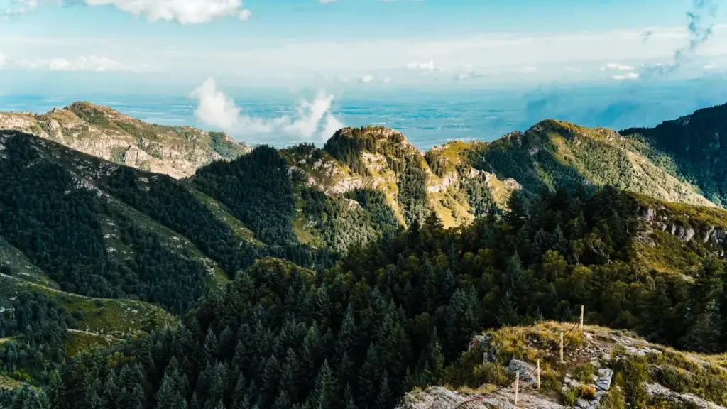 ការយល់ដឹង និងផែនការ​រួម​តាម Viber សម្រាប់បង្កើតបក្សពាណិជ្ជកម្មជាមួយម៉ាកសាអូឌី ដើម្បីបង្រៀន និងលើកចុះឈ្មោះវគ្គអនឡាញ។ យុទ្ធសាស្ត្រ AI, បំណងទីផ្សារ, និងឧទាហរណ៍​ពាក់ព័ន្ធ​ជាក់ស្តែង។