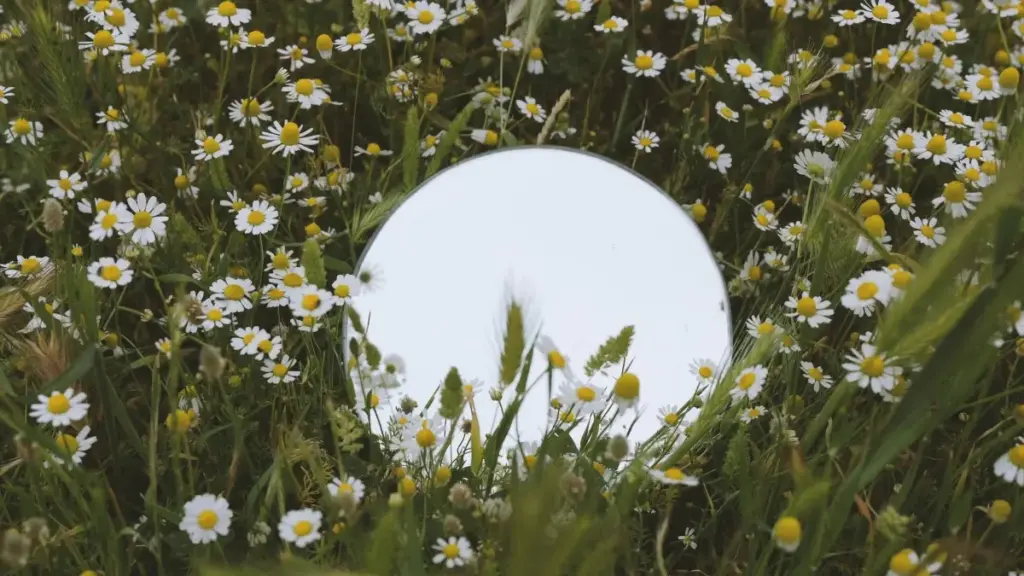 មេរៀនអនុវត្តសម្រាប់អ្នកផ្សព្វផ្សាយ និងឧស្សាហកម្មផ្សព្វផ្សាយនៅកម្ពុជា៖ រកជ-creators ស្ប៉ាញលើ Discord ដើម្បីសាកល្បងកំនត់ផលិតផលថ្មីៗ។