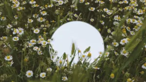 មេរៀនអនុវត្តសម្រាប់អ្នកផ្សព្វផ្សាយ និងឧស្សាហកម្មផ្សព្វផ្សាយនៅកម្ពុជា៖ រកជ-creators ស្ប៉ាញលើ Discord ដើម្បីសាកល្បងកំនត់ផលិតផលថ្មីៗ។