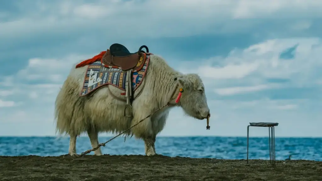 មេរៀនល្អពីរបៀបរកកាតាប Twitter នៅអាយឡង់ សម្រាប់ធ្វើ awareness លើផលិតផលសម្ផស្សថ្មី — ការវាយតម្លៃនិន្នាការ, ការប្រើឧបករណ៍, និងផែនការ PR ការផ្សព្វផ្សាយក្នុងទីផ្សារ EU.