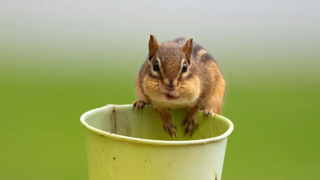 ជំនួយ ថ្នាក់ដឹកនាំសម្រាប់អ្នកបង្កើតក្នុងកម្ពុជា៖ របៀបទាក់ទងម៉ាកកូរ៉េខាងត្បូងលើ Facebook ដើម្បីសុំធ្វើពិនិត្យផលិតផលយ៉ាងជ្រៅ ដែលមានលទ្ធផល និងការប្រើប្រាស់យុទ្ធសាស្ត្រពិតប្រាកដ។