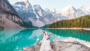 មេរៀនអំពីយុទ្ធសាស្រ្តពាក់ព័ន្ធដើម្បីទាក់ទងម៉ាកនៅ Ecuador តាមរយៈ Chingari ហើយដាក់សិល្បករកំពុងឡើងសោយឱកាសអន្តរជាតិ។