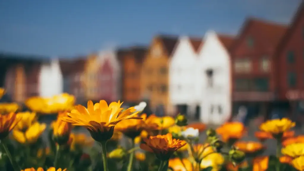 មេរៀនពាក់ព័ន្ធ វិធីស្វែងរក YouTube creators ពីកូឡុំប៊ី ដើម្បីយកការផ្សព្វផ្សាយលើរូបិយវត្ថុថេរ សម្រាប់អ្នកពាណិជ្ជកម្មកម្ពុជារៀងរាល់គម្រោង។