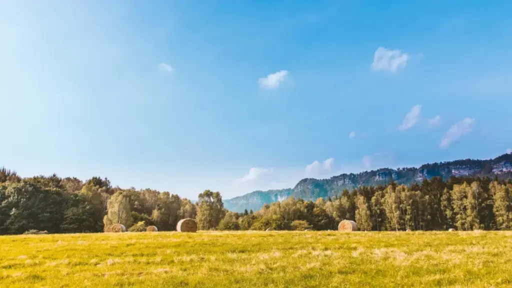 គន្លឹះអាចដំណើរការ សម្រាប់សហការជាមួយ SoundCloud creators ពី Bulgaria ដើម្បី promote បទថ្មី — រួមទាំង táctics ស្វែងរក, outreach, និងវិធីបង្កើតកាឡង់កំពូលសម្រាប់កម្ពុជា។