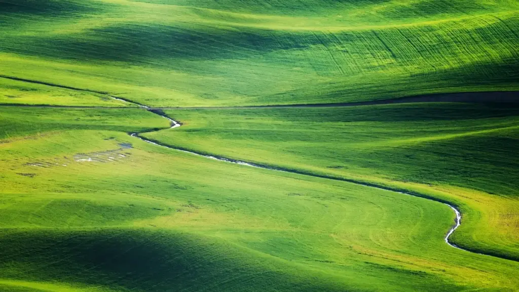 គន្លឹះស្បែកជ្រះសម្រាប់កម្មវិធីផ្សព្វផ្សាយ: របៀបស្វែងរក និងដោះសោរ Creator Threads រូម៉ានី ដើម្បីពង្រីកទូលំទូលាយសម្រាប់ម៉ាកជីវិតសុខភាពនៅកម្ពុជា។