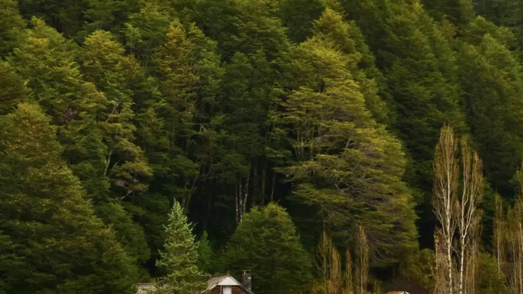 មិនចាំបាច់ទៅយូររកទេ — មេរៀនវិជ្ជាជីវៈ និងវិធីជាក់លាក់សម្រាប់អ្នកផ្សព្វផ្សាយខ្មែរ រក OnlyFans នៅម៉ុងតេណេក្រោ ដើម្បីច.offer ផ្សព្វផ្សាយនៅលើចំនួនថ្លៃថេរ។