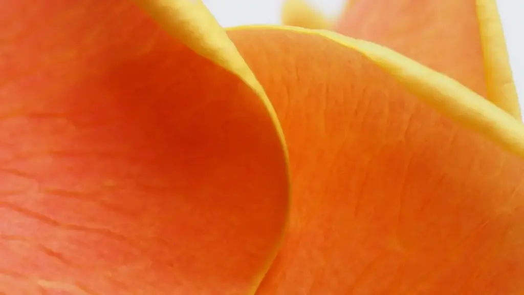 មេរៀនជាក់ស្លឹកសម្រាប់អ្នកបង្កើតក្នុងកម្ពុជា៖ របៀបប្រើ Reddit ដើម្បីទាក់ទងម៉ាកវៀតណាមសម្រាប់សាកល្បងនិងពិនិត្យលក្ខណៈហ្គេមថ្មីៗ ដល់ឆ្នាំ 2026។