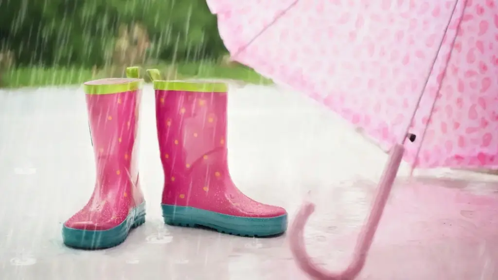 វិធីរក Creator Shopee ឥណ្ឌូនេស៊ី ដើម្បី collab ថត event vlog ឲ្យចេញធម្មជាតិ មាន engagement ខ្ពស់ និងអាចវាស់លទ្ធផលបានច្បាស់។