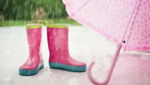 វិធីរក Creator Shopee ឥណ្ឌូនេស៊ី ដើម្បី collab ថត event vlog ឲ្យចេញធម្មជាតិ មាន engagement ខ្ពស់ និងអាចវាស់លទ្ធផលបានច្បាស់។