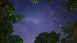 របៀបចូលទៅដល់ម៉ាកអ៊ីតាលីលើ YouTube ដើម្បីបើកឱកាស UGC ពីការស្រាវជ្រាវគោលដៅ រហូតដល់សារផ្ញើ DM និងការតាមដានដែលមិនធ្វើឲ្យគេមើលរំលង។