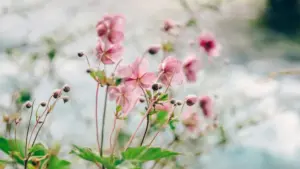 អត្ថបទនេះបង្ហាញវិធីស្វែងរក creator Lebanon លើ KakaoTalk ដើម្បីបង្កើត flash sales ឲ្យផ្ទុះលឿនៗ ដោយយកចិត្តទុកដាក់លើ hype, ភាពជឿជាក់ និងការវាស់លទ្ធផល។